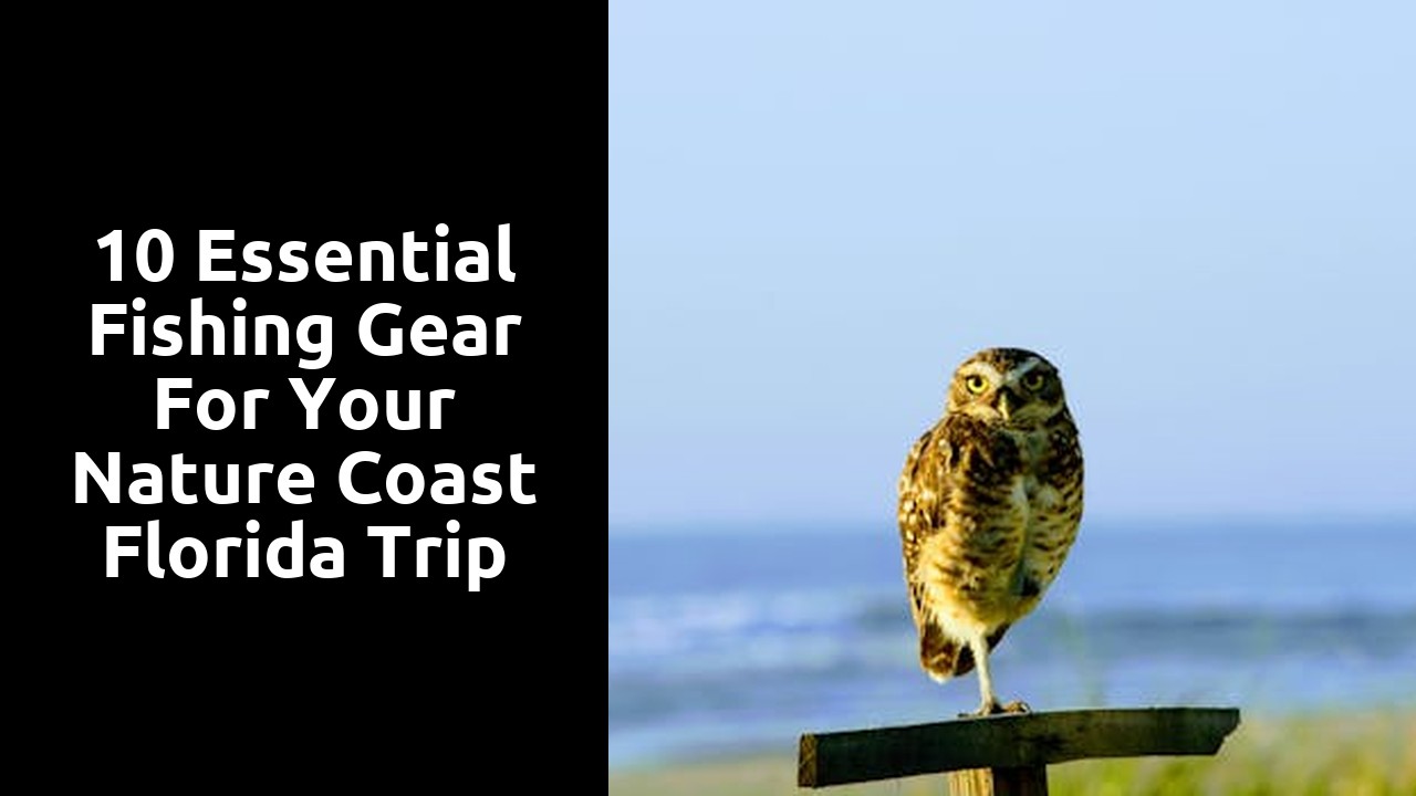 10 Essential Fishing Gear for Your Nature Coast Florida Trip