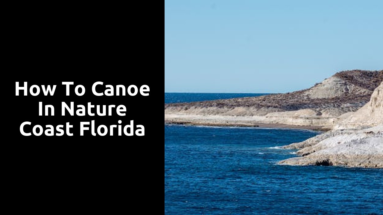 How to Canoe in Nature Coast Florida