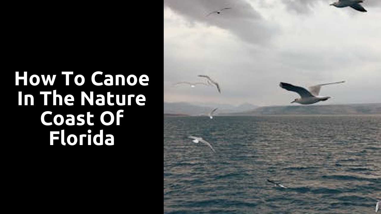 How to Canoe in the Nature Coast of Florida