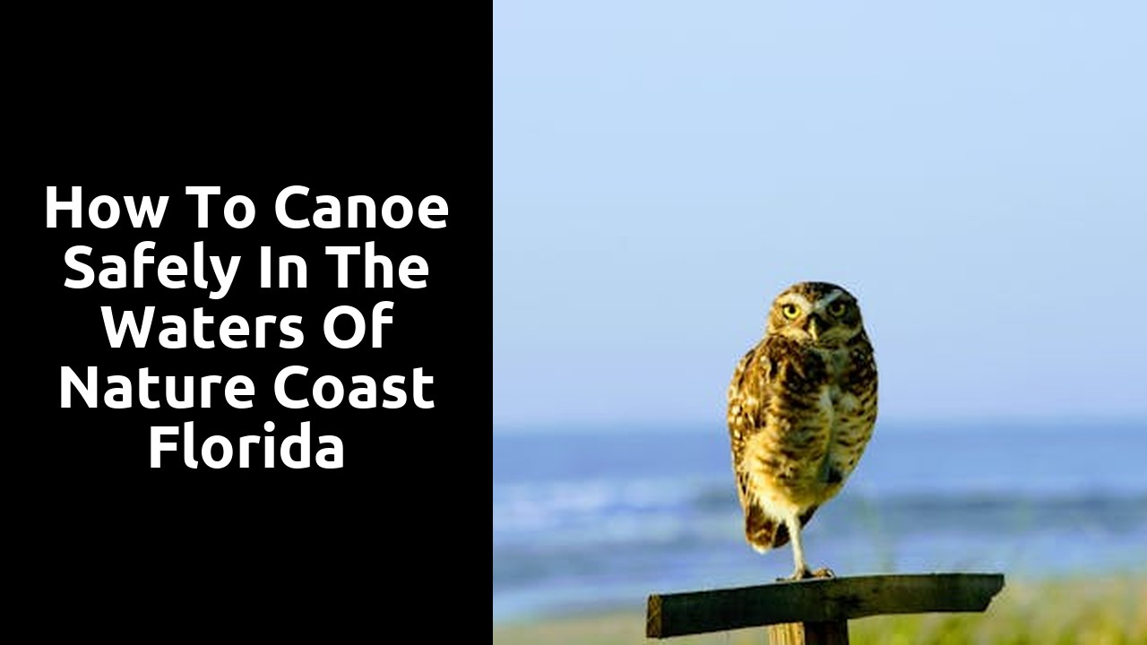 How to Canoe Safely in the Waters of Nature Coast Florida