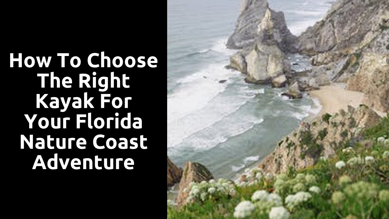 How to Choose the Right Kayak for Your Florida Nature Coast Adventure