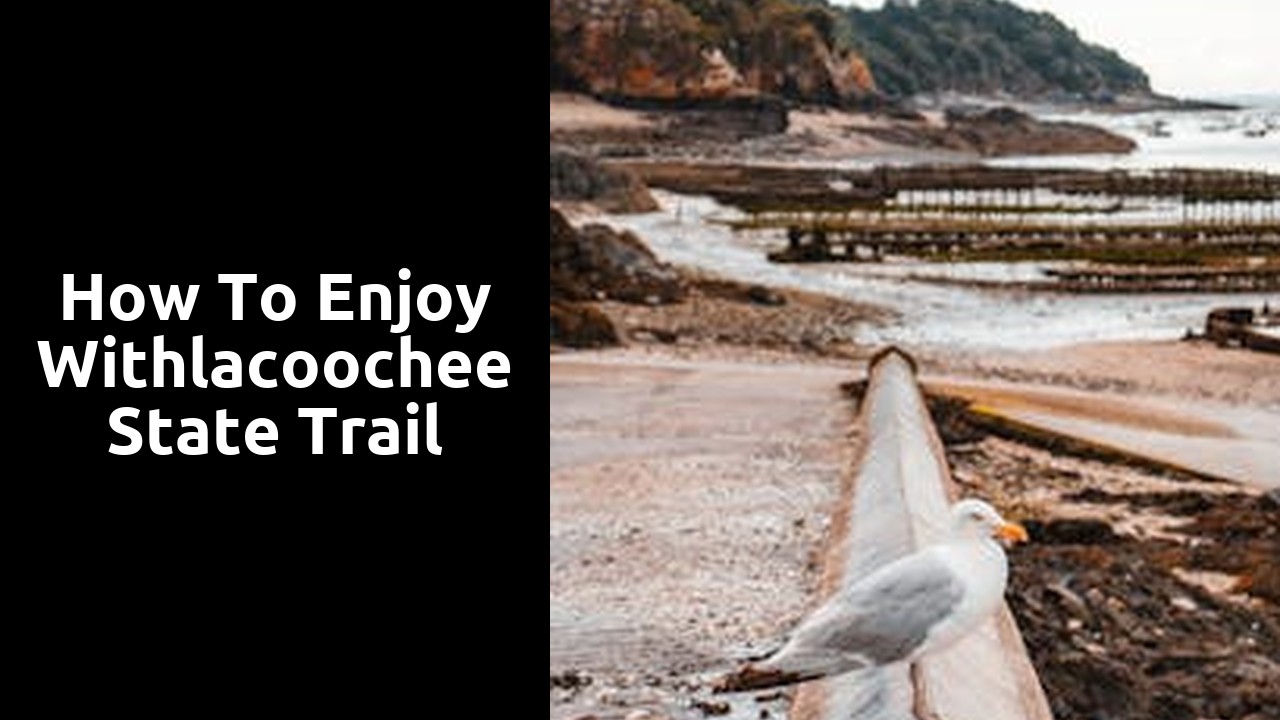 How to Enjoy Withlacoochee State Trail