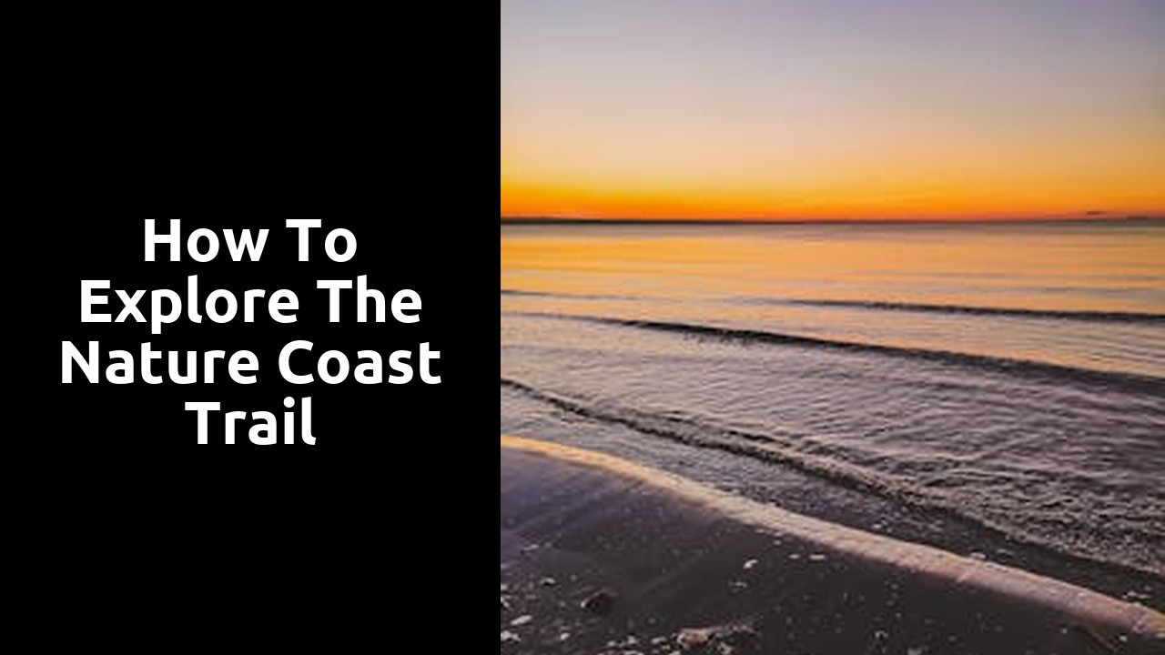 How to Explore the Nature Coast Trail