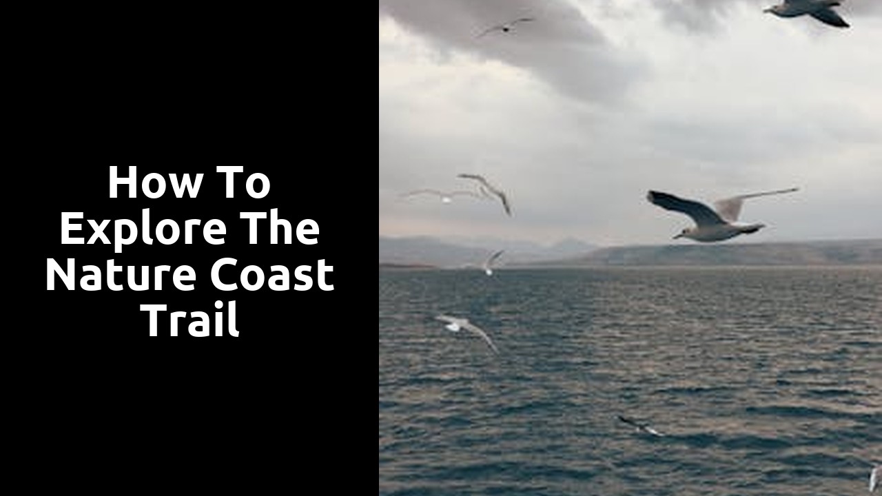 How to Explore the Nature Coast Trail