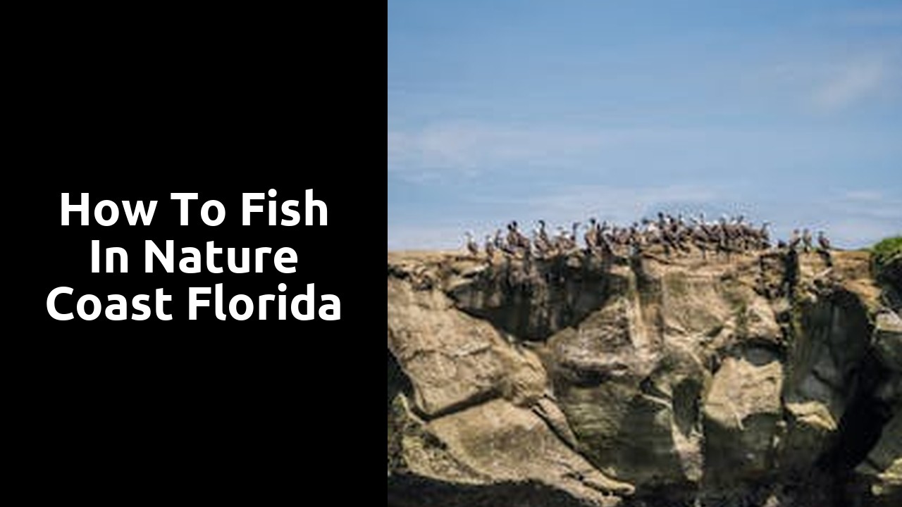 How to Fish in Nature Coast Florida