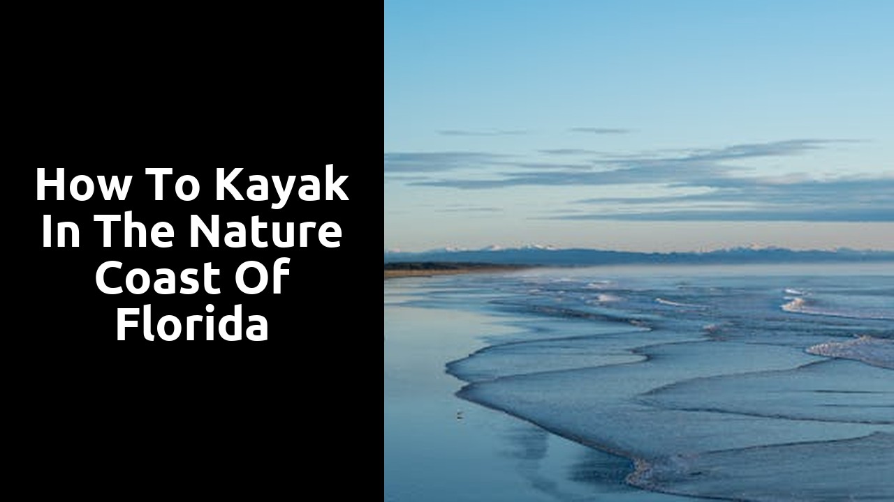 How to Kayak in the Nature Coast of Florida