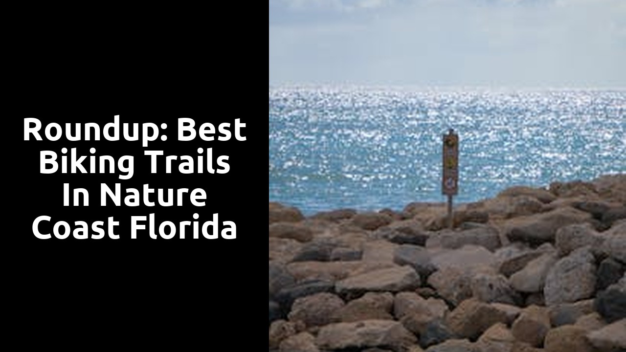 Roundup: Best Biking Trails in Nature Coast Florida