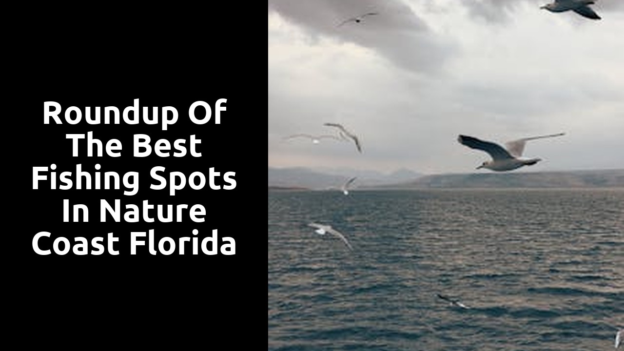 Roundup of the Best Fishing Spots in Nature Coast Florida