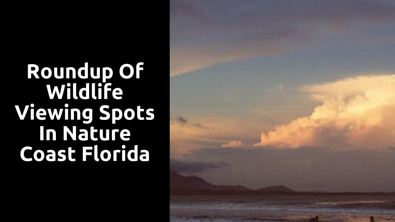 Roundup of Wildlife Viewing Spots in Nature Coast Florida