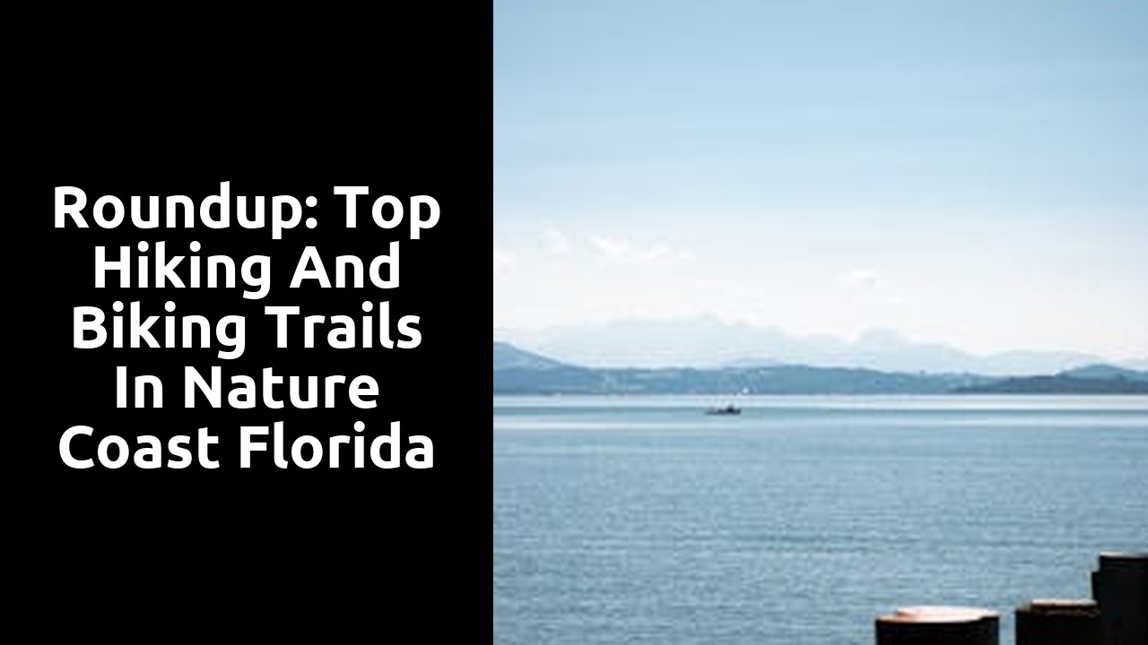 Roundup: Top Hiking and Biking Trails in Nature Coast Florida