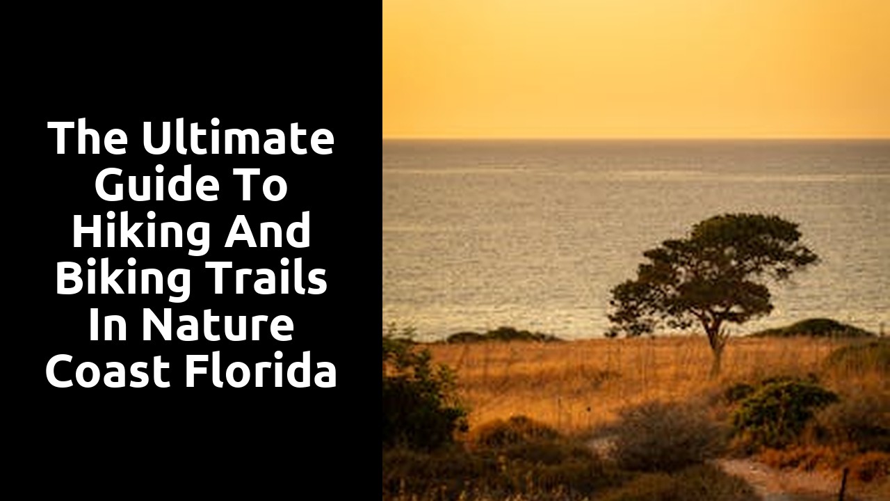 The Ultimate Guide to Hiking and Biking Trails in Nature Coast Florida