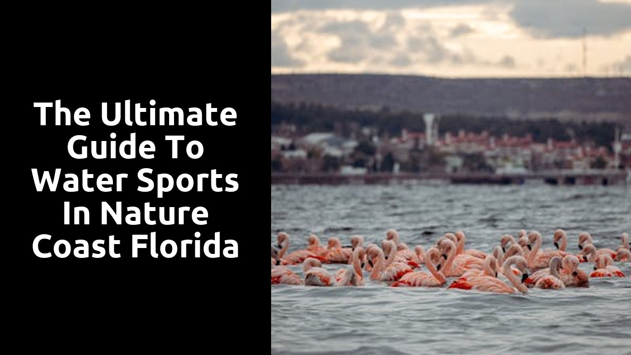 The Ultimate Guide to Water Sports in Nature Coast Florida