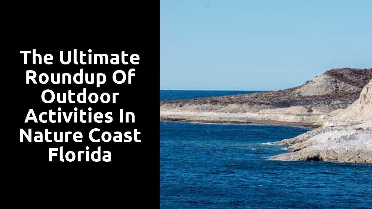 The Ultimate Roundup of Outdoor Activities in Nature Coast Florida