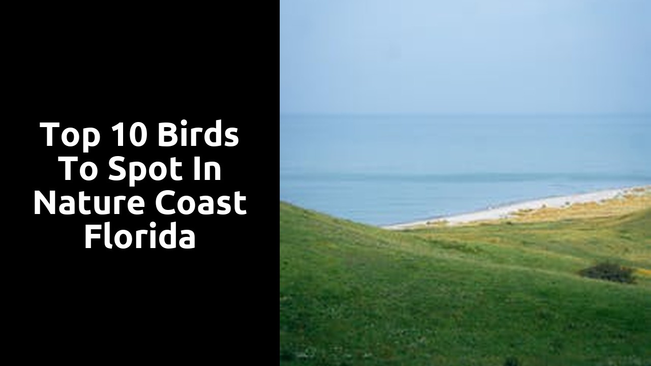 Top 10 Birds to Spot in Nature Coast Florida