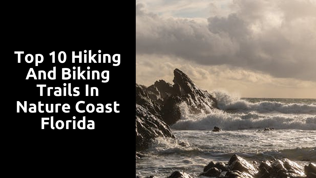 Top 10 Hiking and Biking Trails in Nature Coast Florida