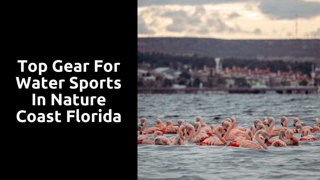 Top Gear for Water Sports in Nature Coast Florida