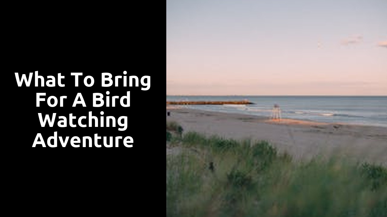 What to Bring for a Bird Watching Adventure