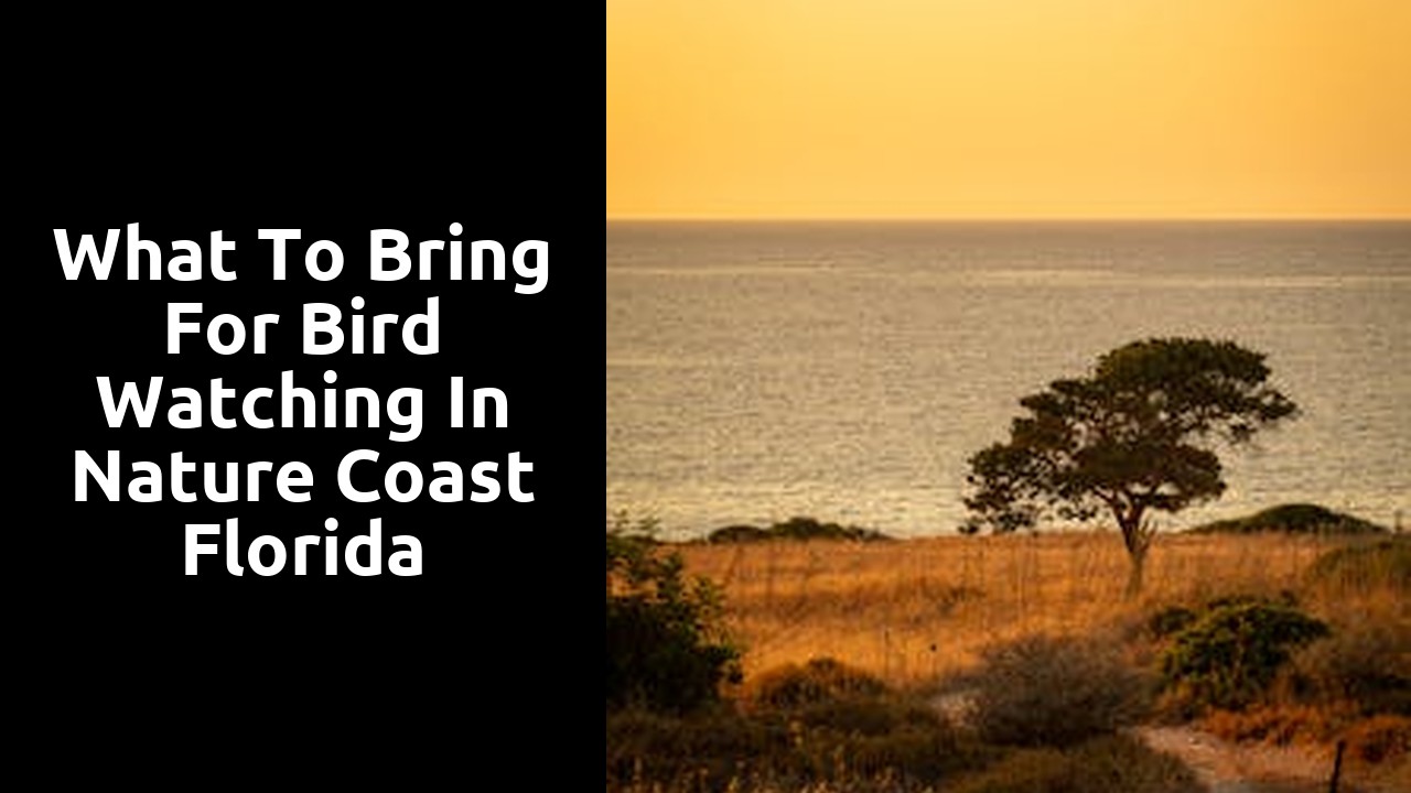 What to Bring for Bird Watching in Nature Coast Florida