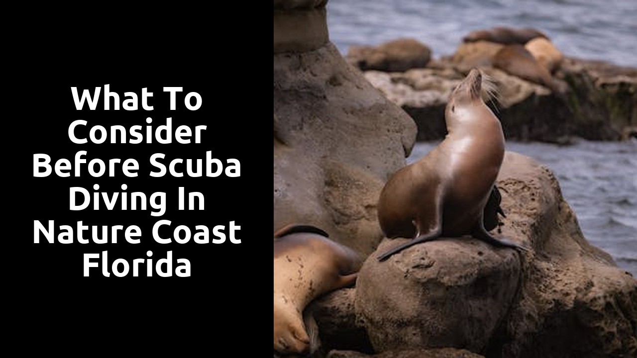 What to Consider Before Scuba Diving in Nature Coast Florida