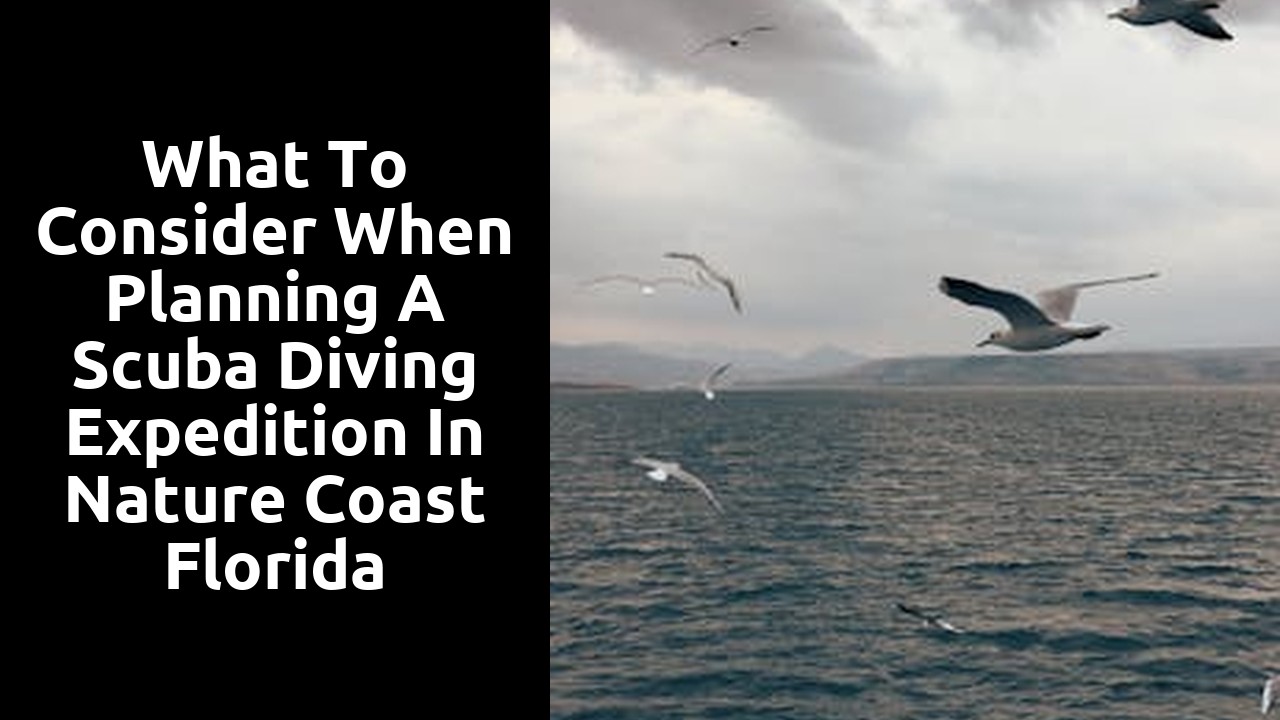 What to Consider When Planning a Scuba Diving Expedition in Nature Coast Florida