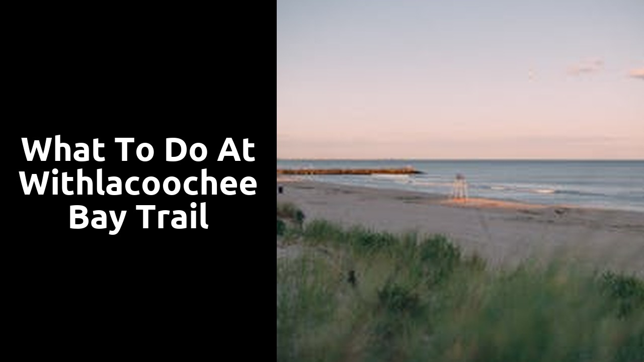 What to Do at Withlacoochee Bay Trail