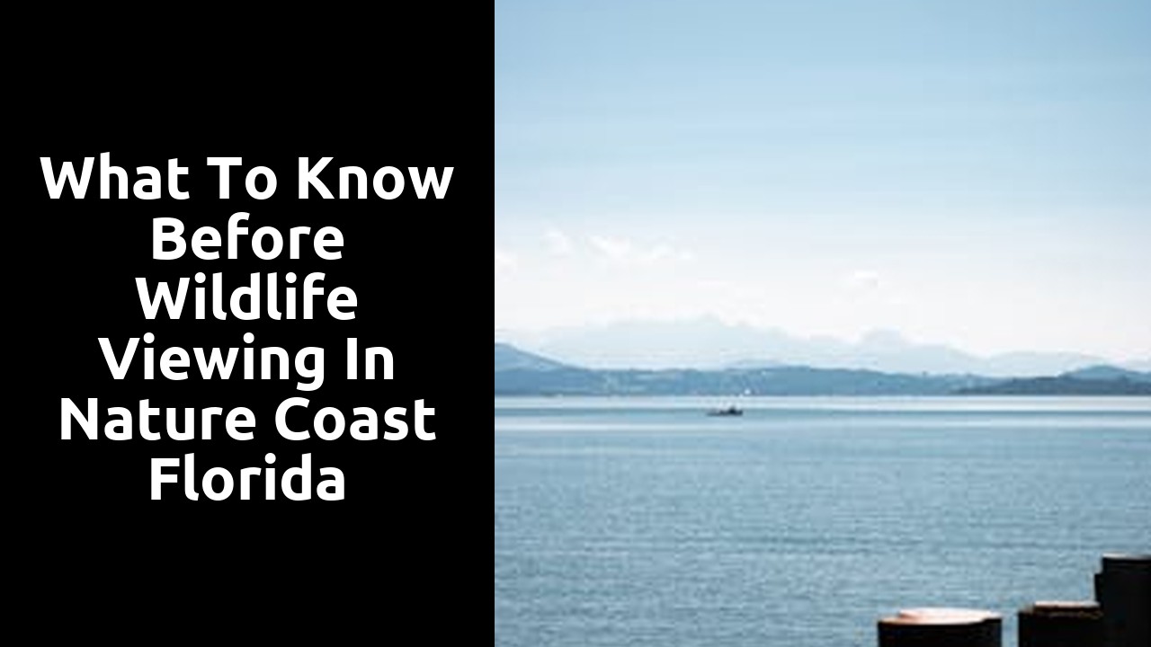 What to Know Before Wildlife Viewing in Nature Coast Florida