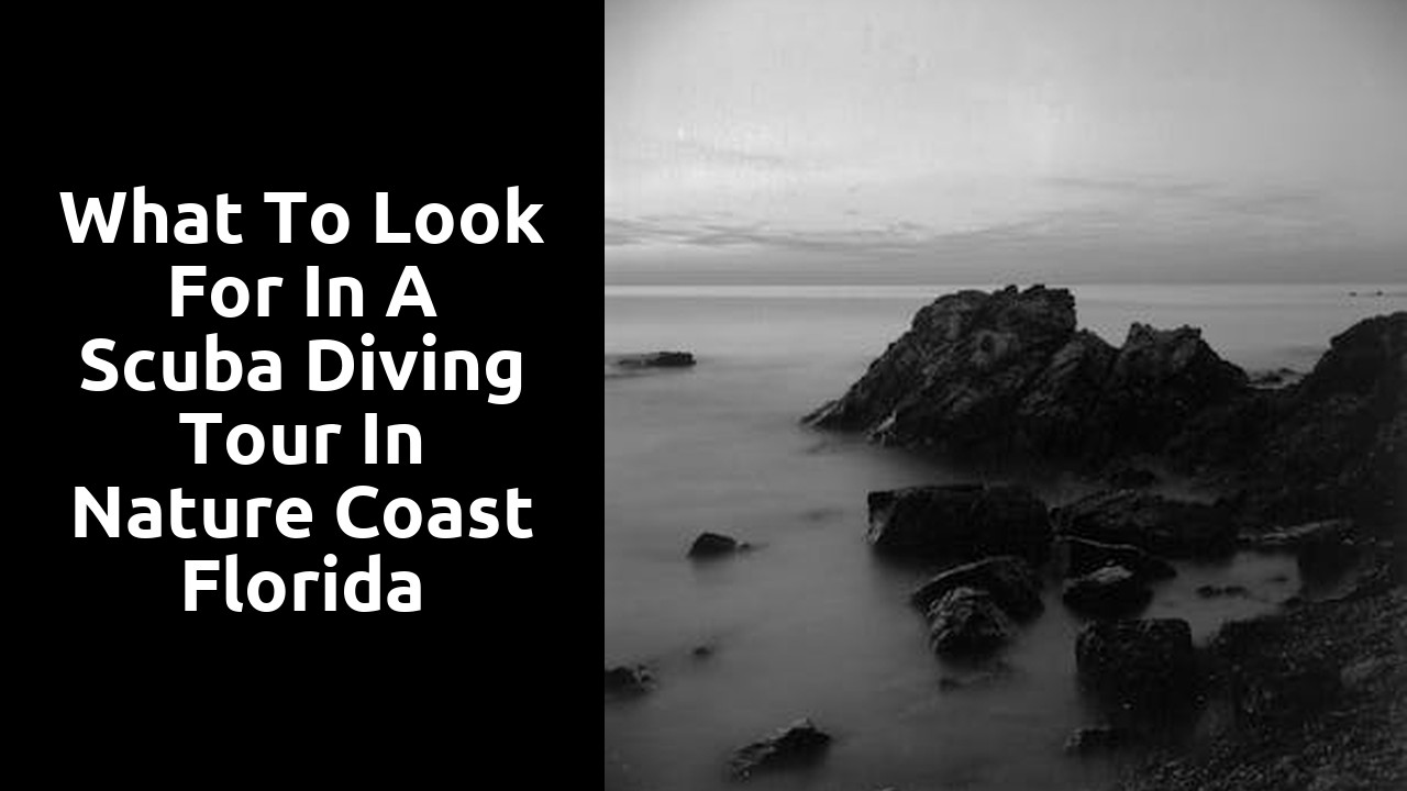 What to look for in a Scuba Diving tour in Nature Coast Florida