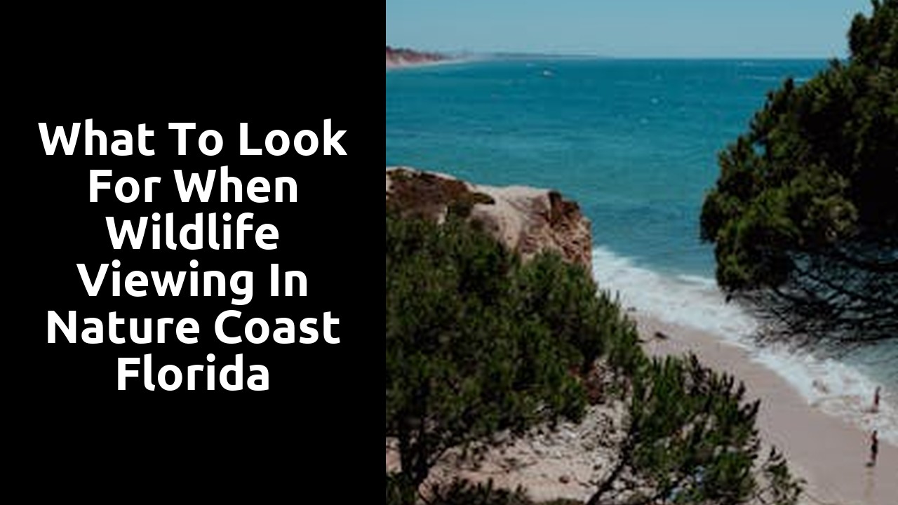 What to Look for When Wildlife Viewing in Nature Coast Florida