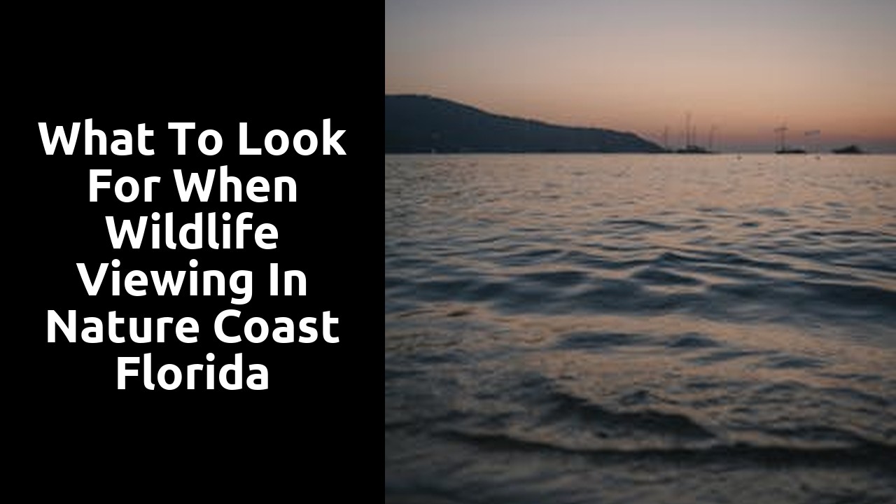 What to Look for When Wildlife Viewing in Nature Coast Florida