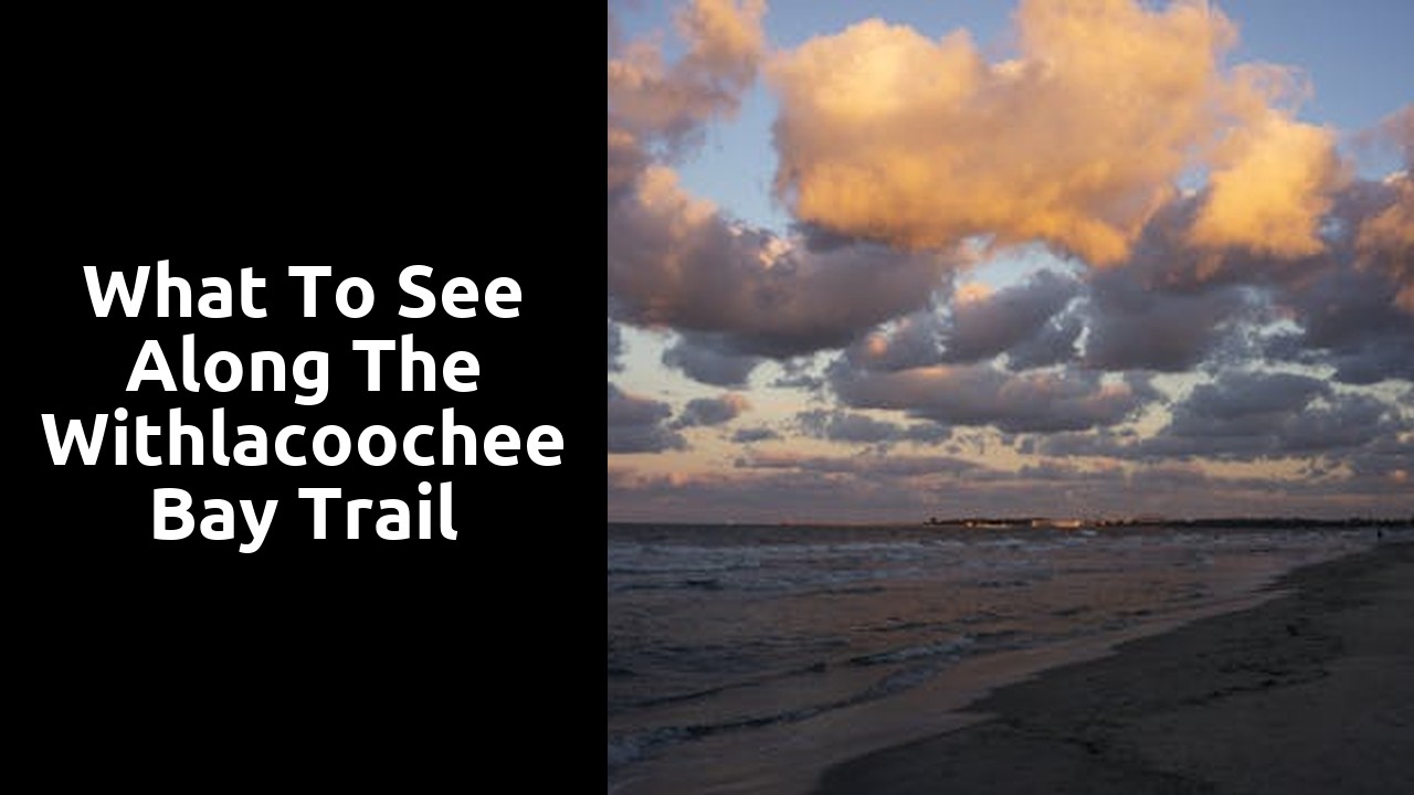 What to See Along the Withlacoochee Bay Trail