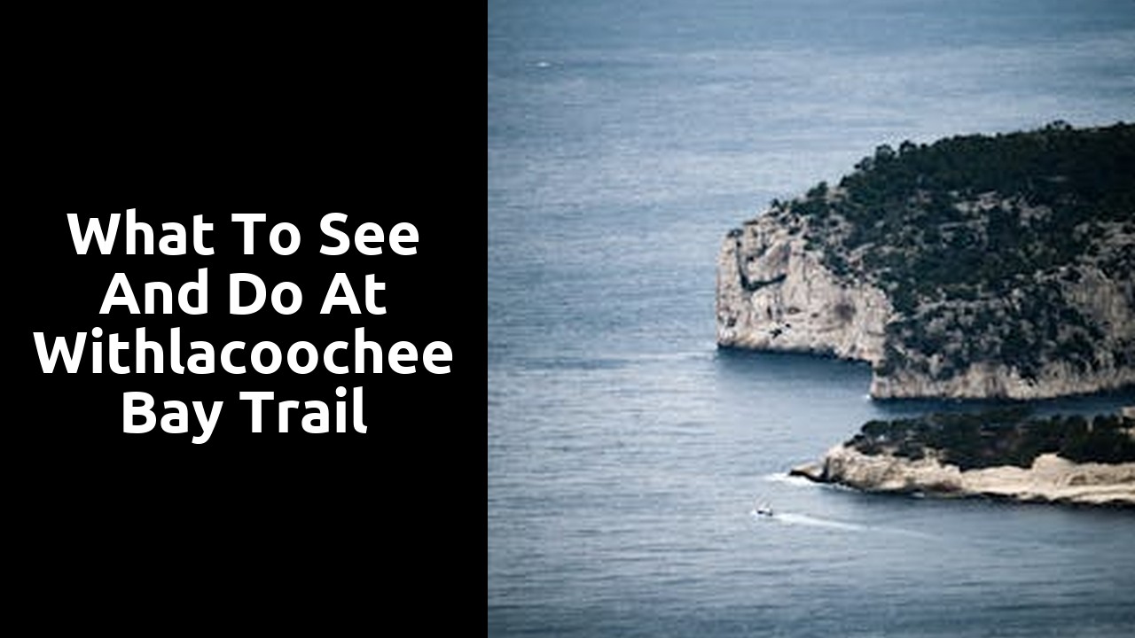 What to See and Do at Withlacoochee Bay Trail