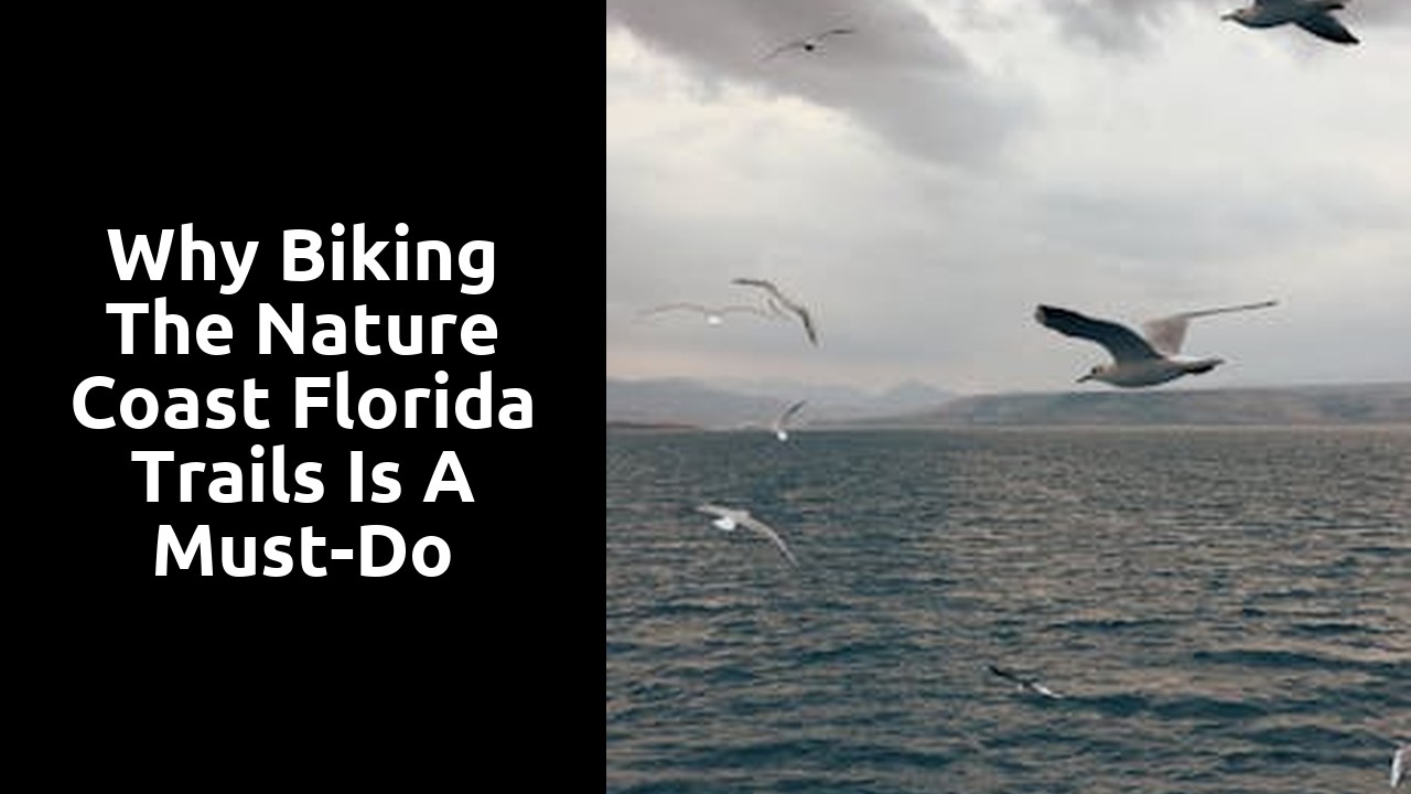 Why Biking the Nature Coast Florida Trails is a Must-Do