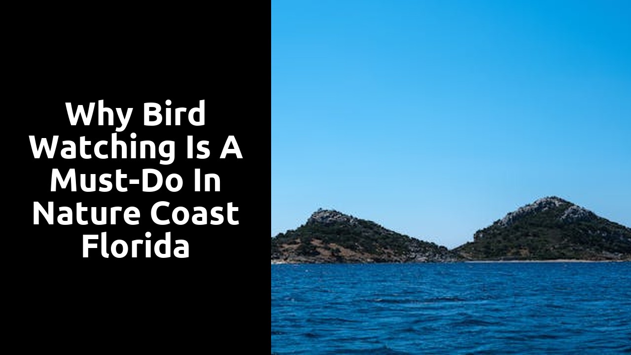 Why Bird Watching is a Must-Do in Nature Coast Florida