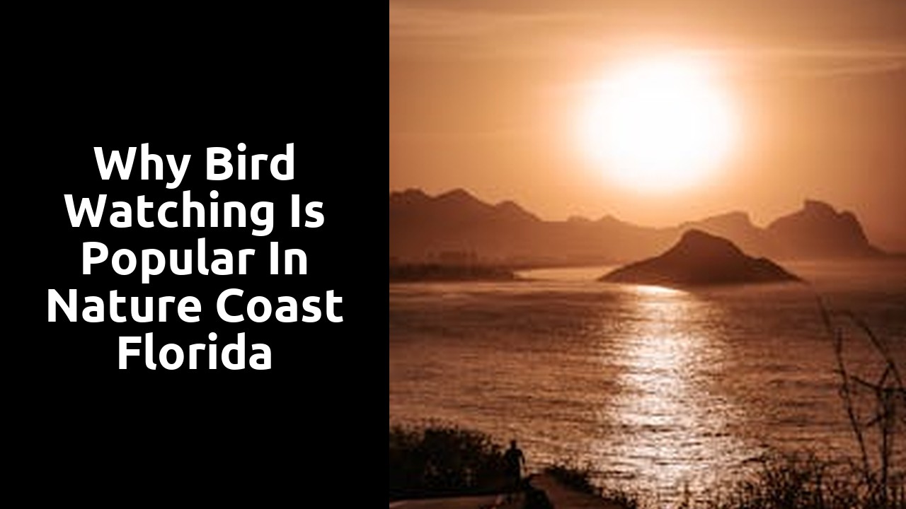 Why Bird Watching is Popular in Nature Coast Florida