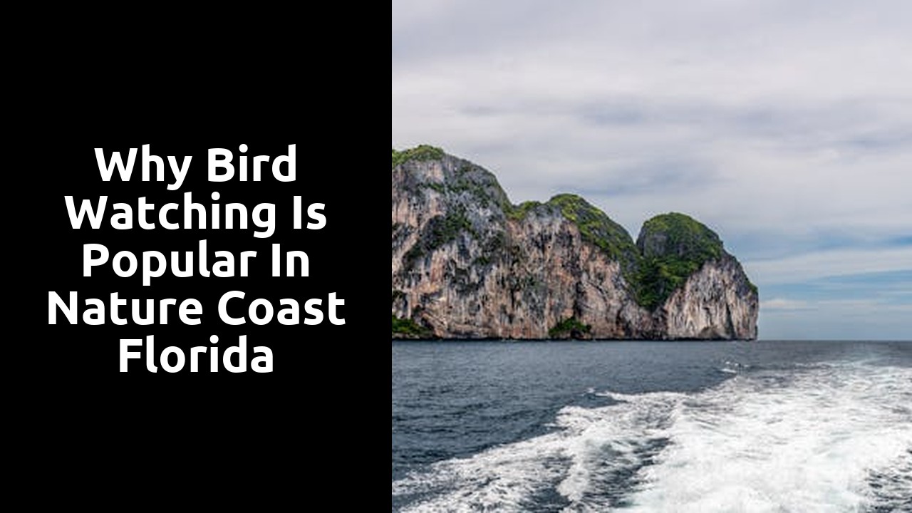 Why Bird Watching is Popular in Nature Coast Florida