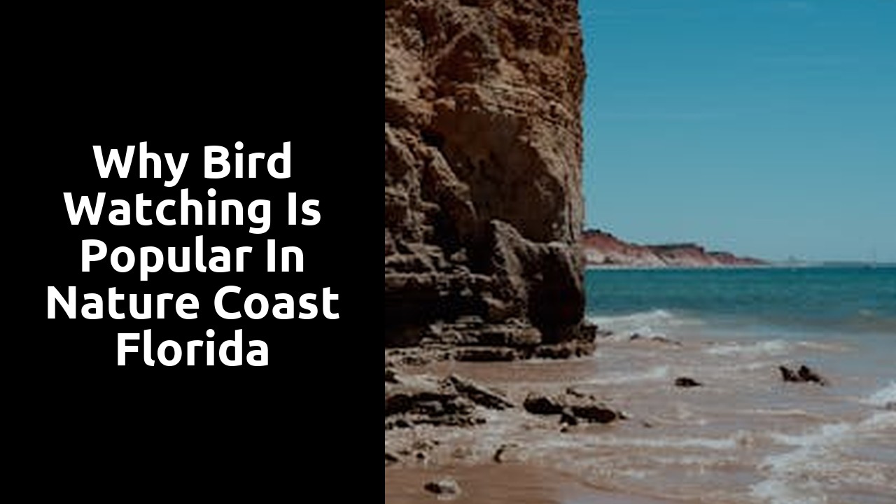 Why Bird Watching is Popular in Nature Coast Florida