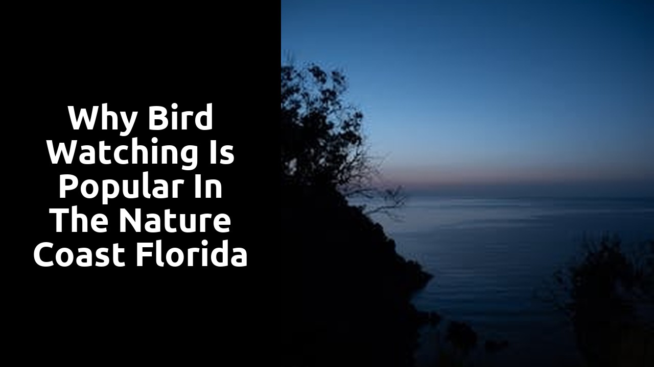 Why Bird Watching is Popular in the Nature Coast Florida