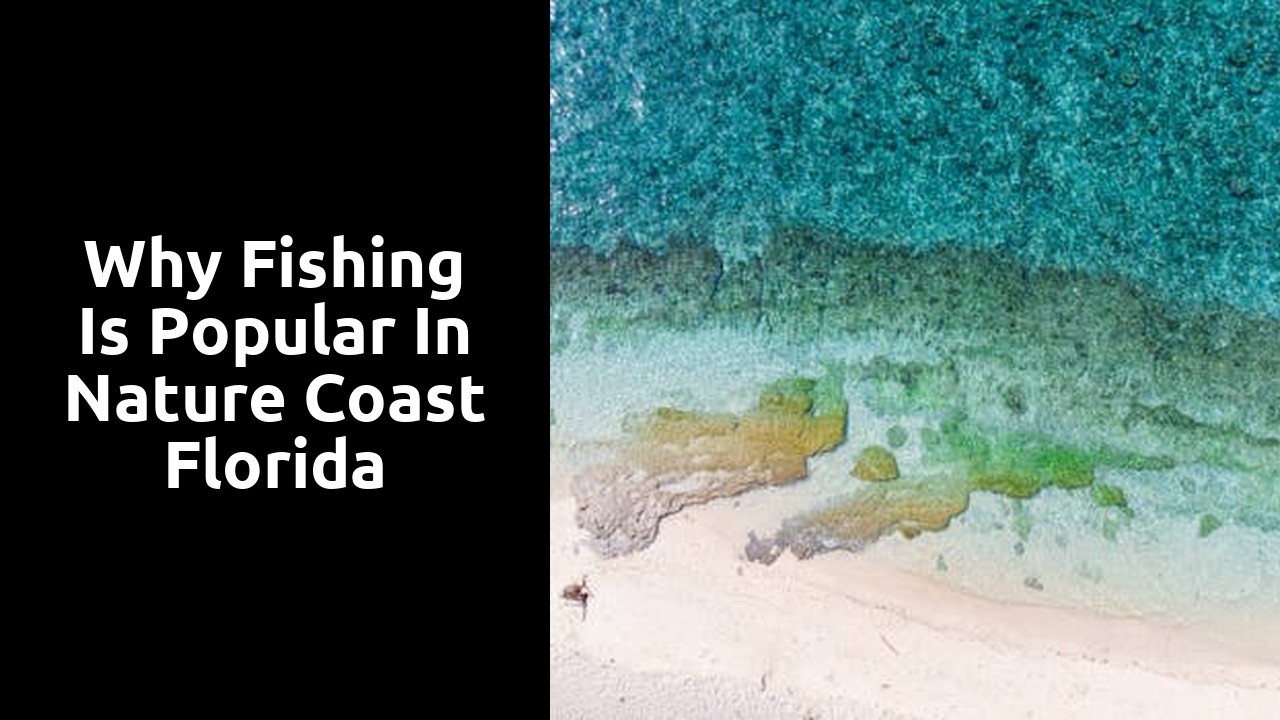 Why Fishing is Popular in Nature Coast Florida