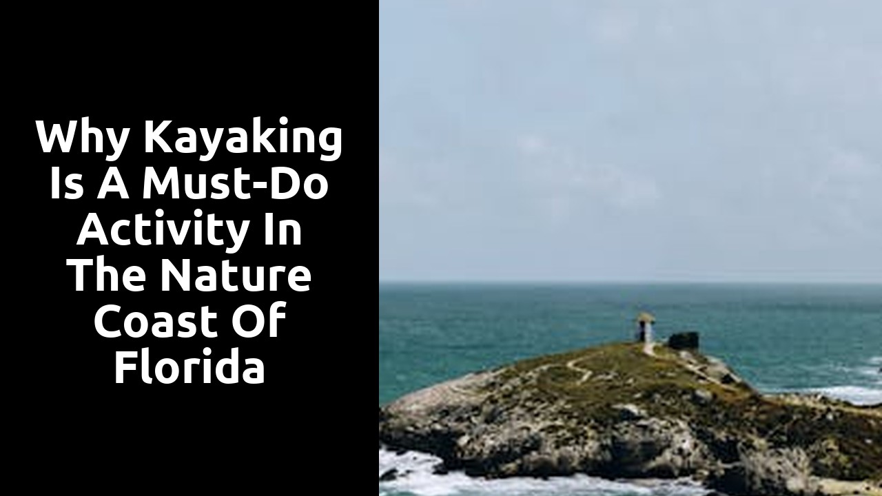 Why Kayaking is a Must-Do Activity in the Nature Coast of Florida