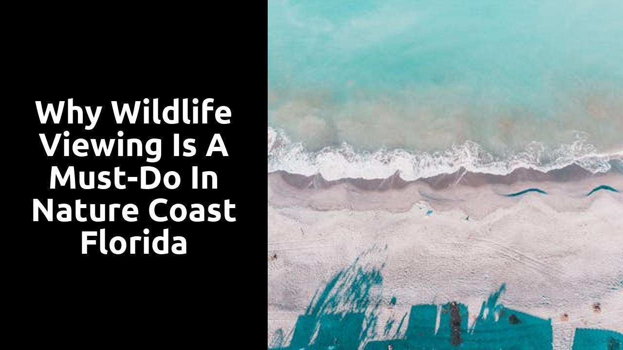 Why Wildlife Viewing is a Must-Do in Nature Coast Florida